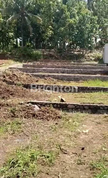 image DIJUAL TANAH ASRI TENANG SELEMADEG TABANAN (1)