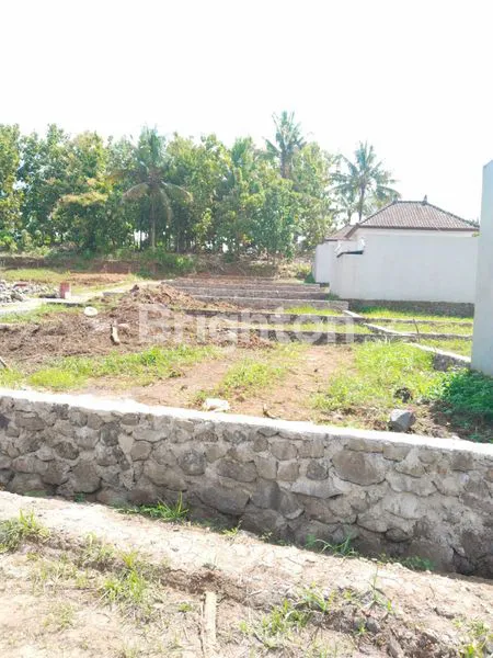 image DIJUAL TANAH ASRI TENANG SELEMADEG TABANAN (3)