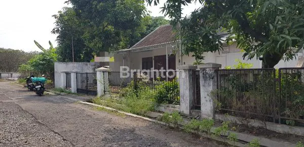 image RUMAH NYAMAN DAN LUAS TANAHNYA (2)