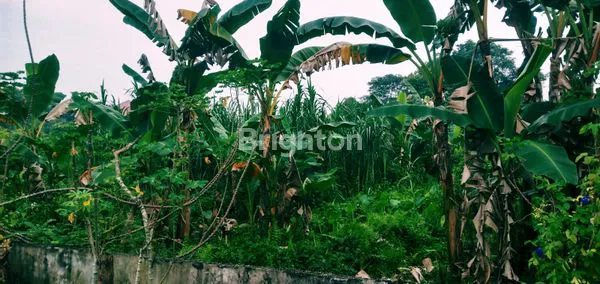 image DIJUAL TANAH LOKASI STRATEGIS (1)