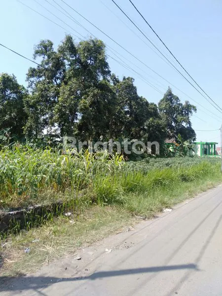 image TANAH PEKARANGAN FULL PONDASI KELILING DI MOJONGAPIT JOMBANG (1)