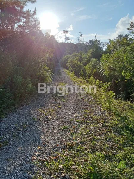 image TANAH LADANG 6.6 HA (7)