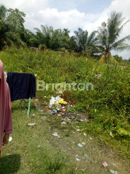 image DIJUAL TANAH KERAS  DEKAT PENGADILAN AGAMA (1)