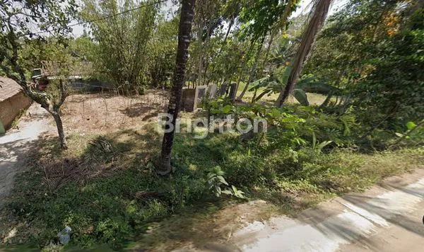 TANAH PEKARANGAN 521M2 DI SENTOLO LOR