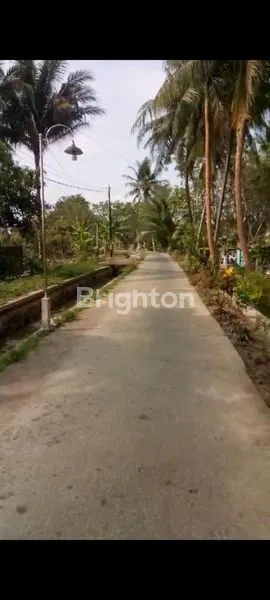 image TANAH PEKARANGAN 521M2 DI SENTOLO LOR (3)