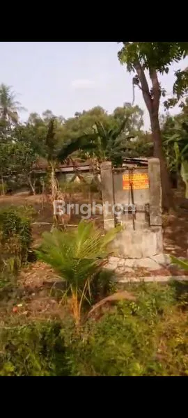 image TANAH PEKARANGAN 521M2 DI SENTOLO LOR (6)