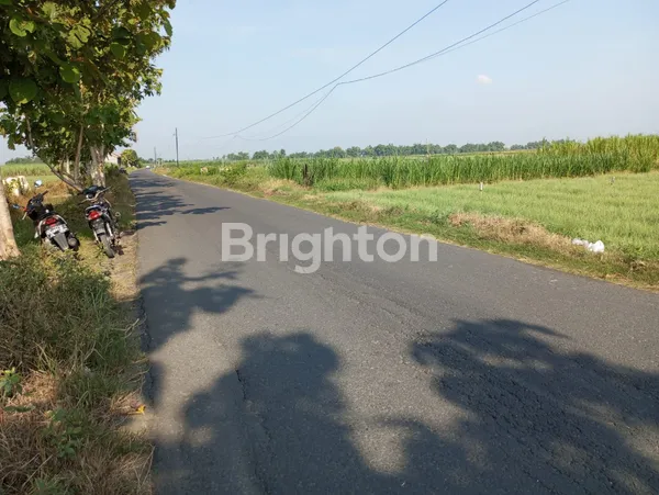 TANAH SUPER MURAH AREA PATI