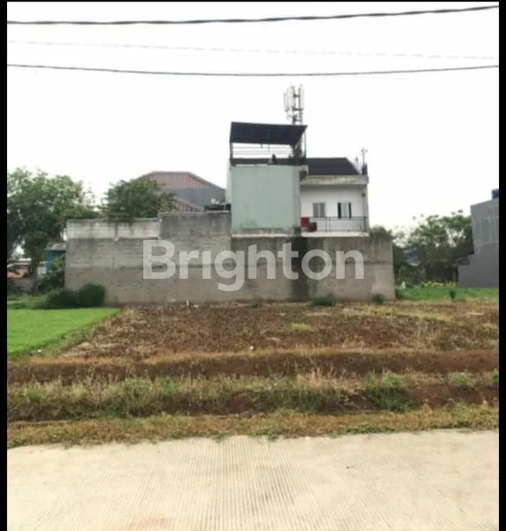 image KELAPA GADING - TANAH MURAH (1)