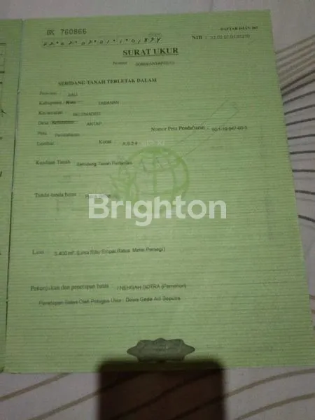 image TANAH KAV MURAH   54 ARE / 60JT PER ARE DS ANTAP TABANAN (6)