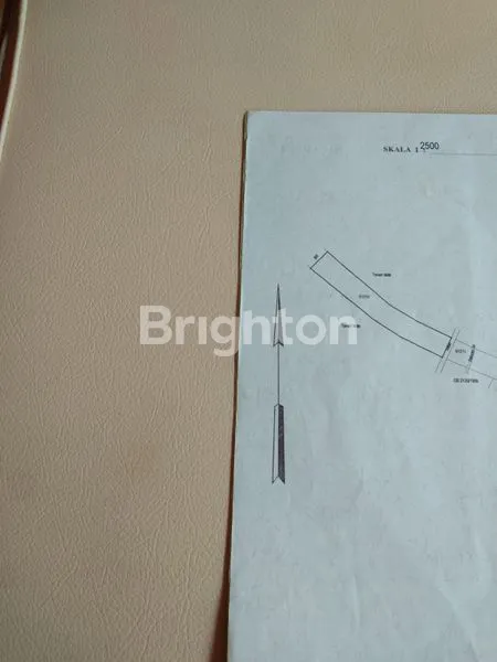 image TANAH KAV MURAH   54 ARE / 60JT PER ARE DS ANTAP TABANAN (8)