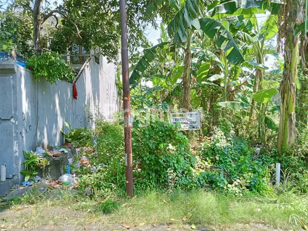 image TANAH DI PEPELEGI INDAH (1)