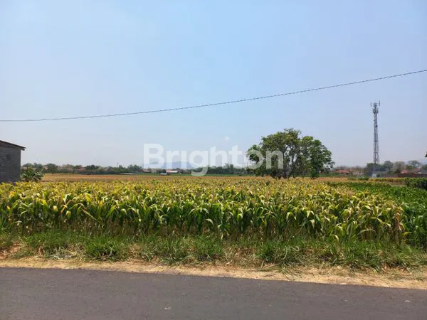 Gambar Property TANAH 42X53 PARE KAB KEDIRI