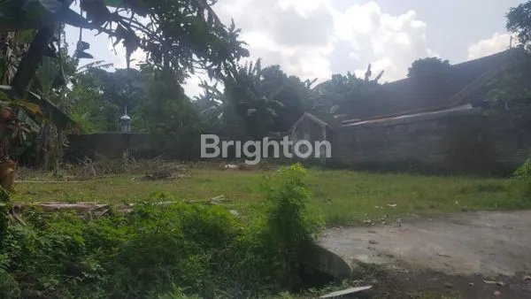 image TANAH LUAS DIJUAL AJUNG (1)