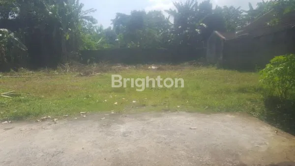 image TANAH LUAS DIJUAL AJUNG (2)