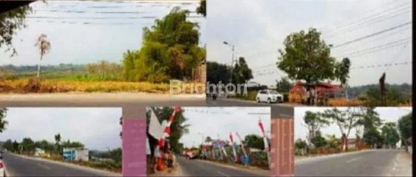 image JUAL TANAH PACET MOJOKERTO (2)