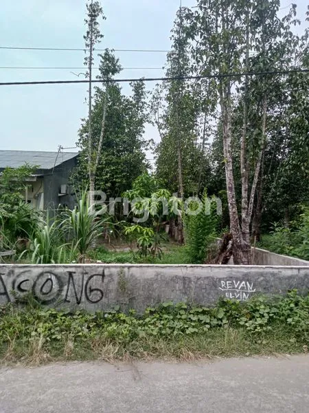 image RUMAH DAN TANAH DI BANDAR KLIPPA (4)