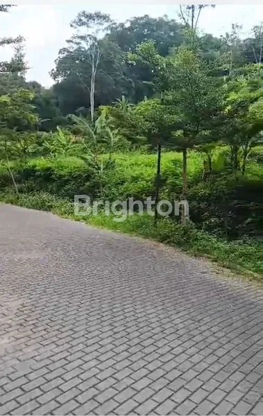 image JUAL TANAH BUAT RUMAH ATAU VILLA DI CIPAKU SETIABUDI BANDUNG (4)