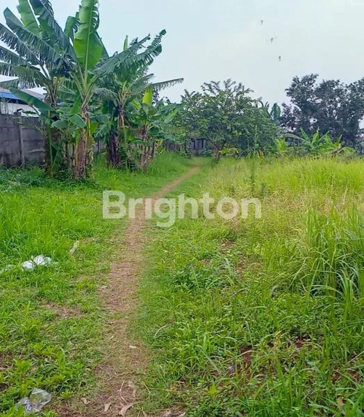 image DIJUAL TANAH KOSONG DI PINGGIR JALAN UTAMA (2)