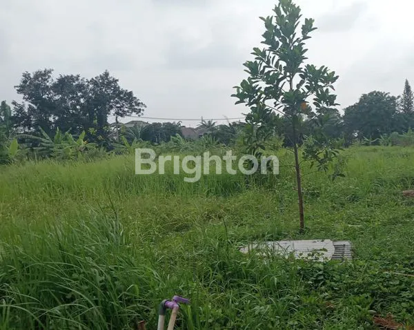 image DIJUAL TANAH KOSONG DI PINGGIR JALAN UTAMA (3)