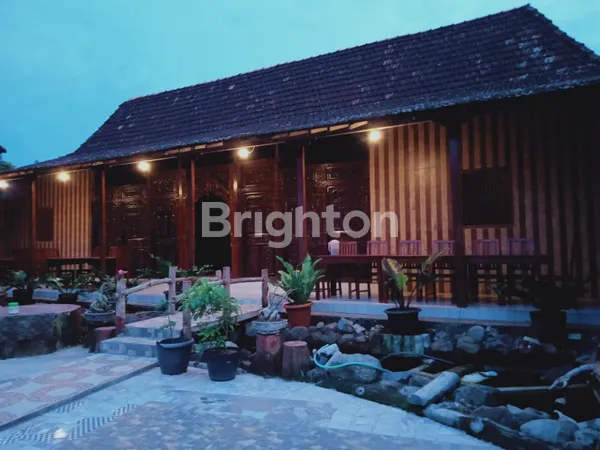 RUMAH HUNI DAN RUMAH MAKAN DI PATI