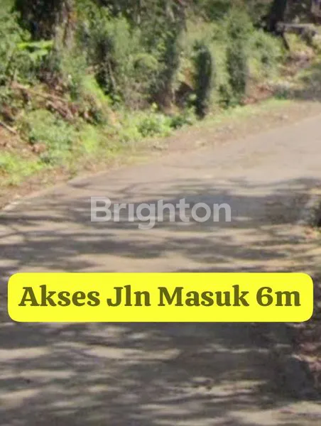 image TANAH SUPER MURAH (2)