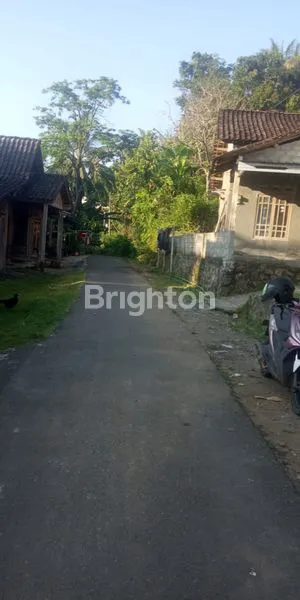 image TANAH SUPER MURAH (3)