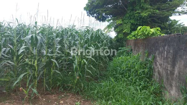 image TANAH KOSONG COCOK GUDANG (4)