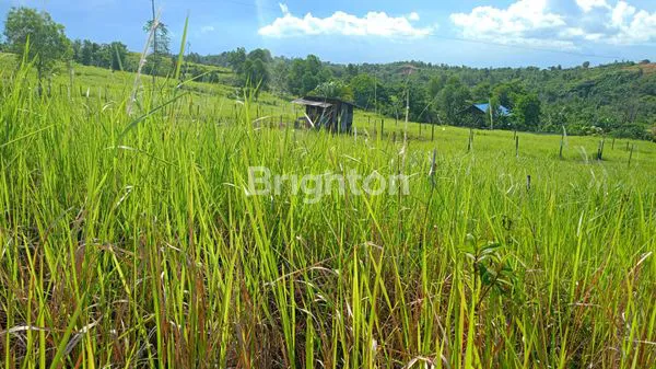 image LAHAN DATAR RATA DI DAERAH SEPINGGAN  (1)