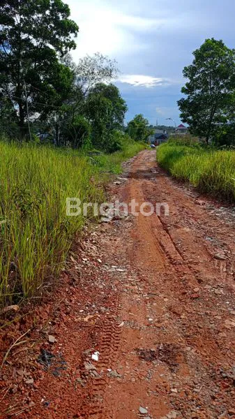 image LAHAN DATAR RATA DI DAERAH SEPINGGAN  (2)