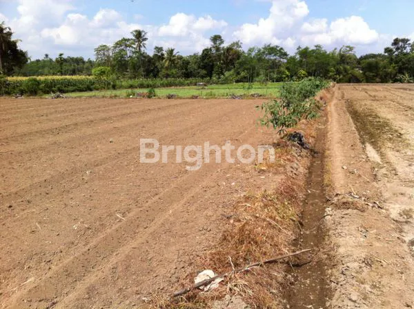 image TANAH DI JALAN UTAMA TUMPANG (1)