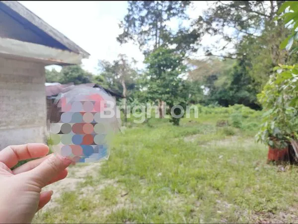 image KAVLING, LAHAN, TANAH DI DUKONG (3)