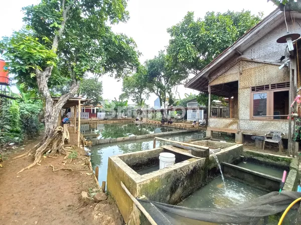 image TERMURAH! LAHAN POTENSIAL PERUMAHAN, PERKEBUNAN, PERIKANAN DI BOGOR (1)