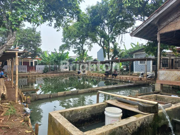 image TERMURAH! LAHAN POTENSIAL PERUMAHAN, PERKEBUNAN, PERIKANAN DI BOGOR (2)