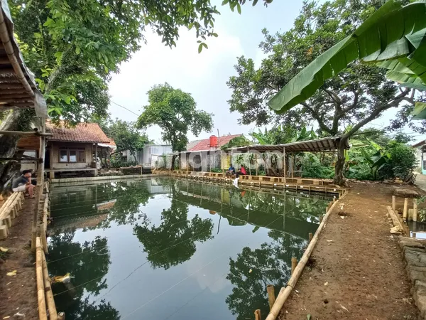 image TERMURAH! LAHAN POTENSIAL PERUMAHAN, PERKEBUNAN, PERIKANAN DI BOGOR (4)