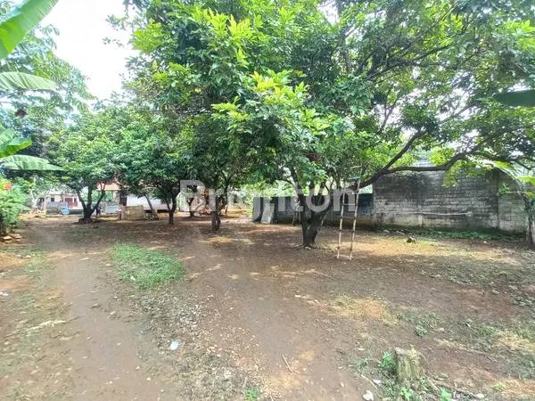 image TERMURAH! LAHAN POTENSIAL PERUMAHAN, PERKEBUNAN, PERIKANAN DI BOGOR (5)