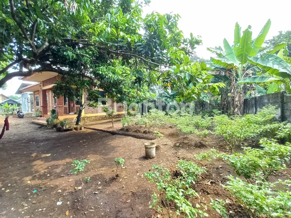 image TERMURAH! LAHAN POTENSIAL PERUMAHAN, PERKEBUNAN, PERIKANAN DI BOGOR (6)