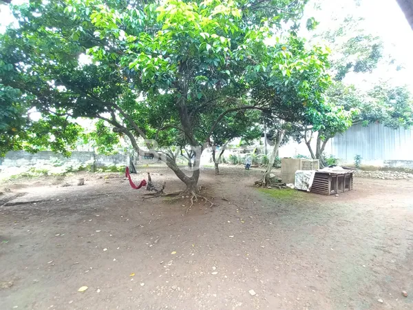 image TERMURAH! LAHAN POTENSIAL PERUMAHAN, PERKEBUNAN, PERIKANAN DI BOGOR (7)