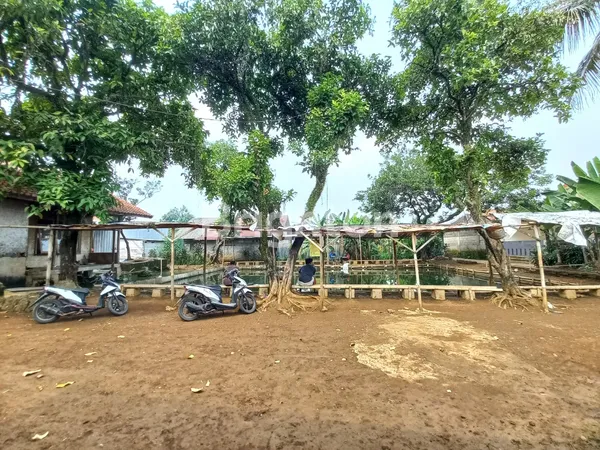 image TERMURAH! LAHAN POTENSIAL PERUMAHAN, PERKEBUNAN, PERIKANAN DI BOGOR (8)