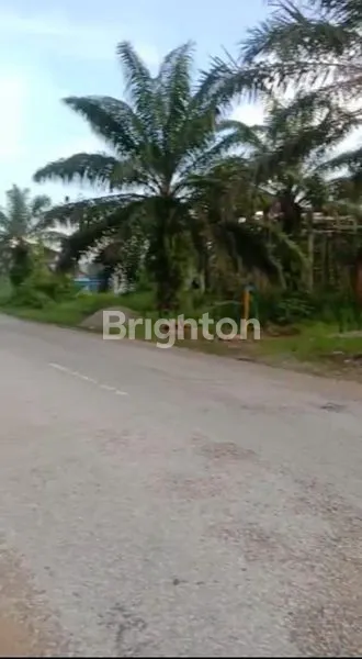 DI JUAL TANAH DI GERBANG IKN !!