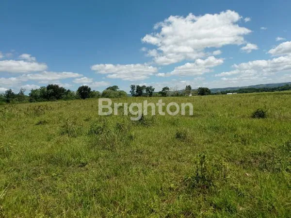 Tanah Datar diatas bukit, Luas Tanah 1 Hektar  ( 10000m2 ) View Hamparan Alam yang Indah, Cocok untuk Investasi/Bangun Villa/Penginapan dll, Lokasi Strategis di Lewa Kota, Sumba Timur