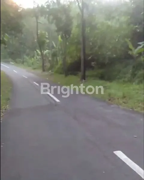 image JUAL TANAH DI GUNUNG PATI DEKAT DENGAN GUA KREO (3)