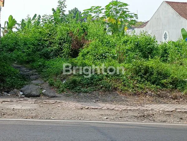 SEBIDANG TANAH DI JALAN KENARI KOTA BLITAR