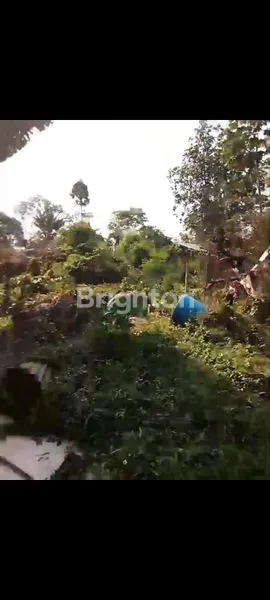 image TANAH SANGAT STRATEGIS COCOK BUAT GUDANG DAN PABRIK HANYA 200 METER KE & DARI PINTU MASUK DAN KELUAR PINTU TOLL BORR BOGOR (2)