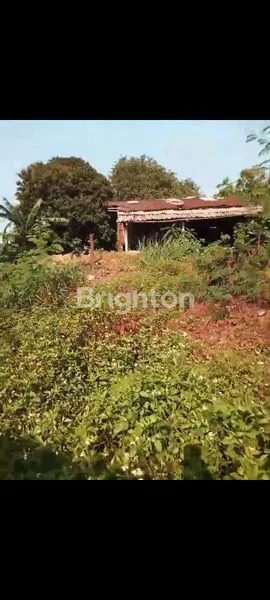 image TANAH SANGAT STRATEGIS COCOK BUAT GUDANG DAN PABRIK HANYA 200 METER KE & DARI PINTU MASUK DAN KELUAR PINTU TOLL BORR BOGOR (3)