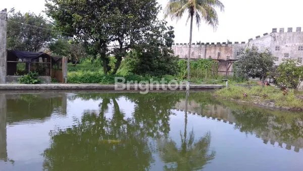 image GUDANG DI DEPAN STADION TUMPANG (8)