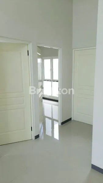 image DIJUAL MURAH ALANA CEMANDI TAHAP 1 BARANG LANGKA ! LEBAR 6 (2)