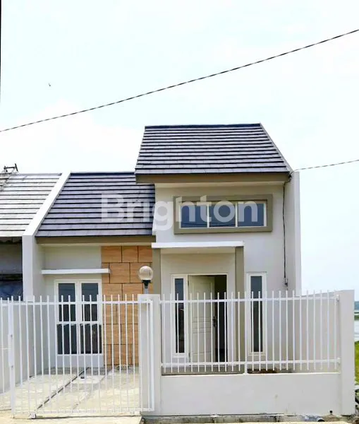 image DIJUAL MURAH ALANA CEMANDI TAHAP 1 BARANG LANGKA ! LEBAR 6 (1)