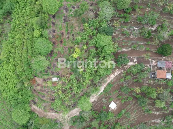 image INVESTASI POTENSIAL! TANAH DENGAN PEMANDANGAN PANTAI DI NUSA PENIDA (2)