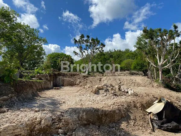 image INVESTASI POTENSIAL! TANAH DENGAN PEMANDANGAN PANTAI DI NUSA PENIDA (3)
