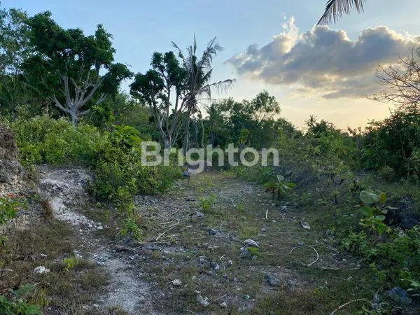 image INVESTASI POTENSIAL! TANAH DENGAN PEMANDANGAN PANTAI DI NUSA PENIDA (8)